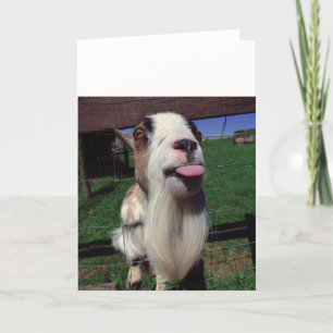 Carte de voeux Cheeky Chèvre