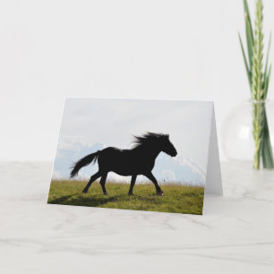 Carte de voeux Cheval