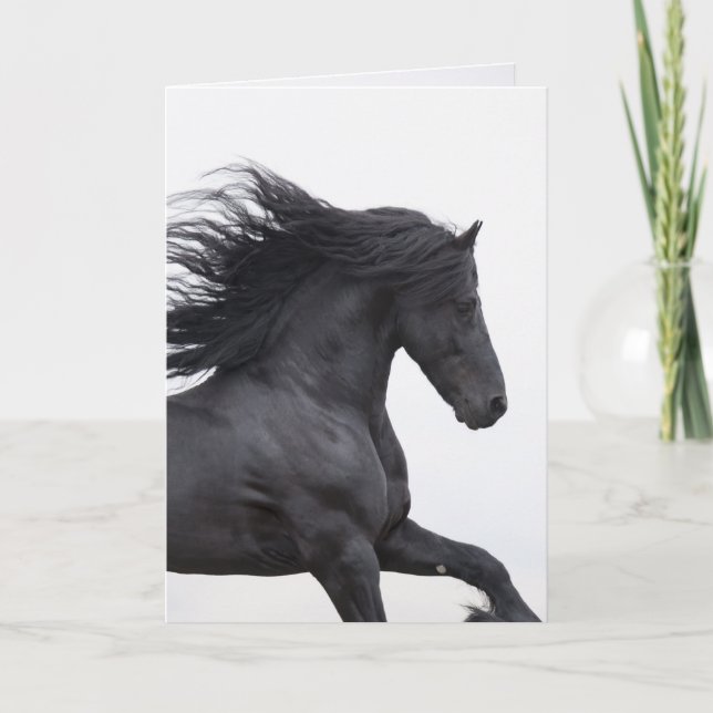 Carte de voeux Cheval Black Friesian Runs (Devant)