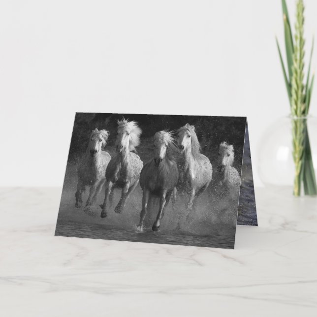 Carte de voeux Cheval Blanc Run Horse (Devant)