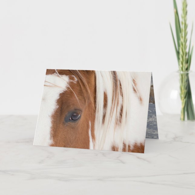 Carte de voeux Cheval de l'oeil du chef (Devant)