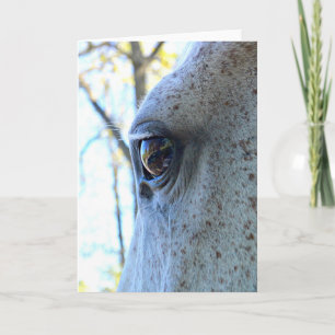 Carte de voeux Cheval Eye