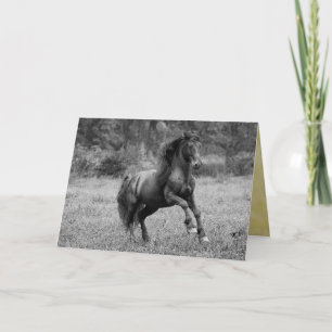 Carte de voeux Cheval - Fairy Tale Stallion Leaps