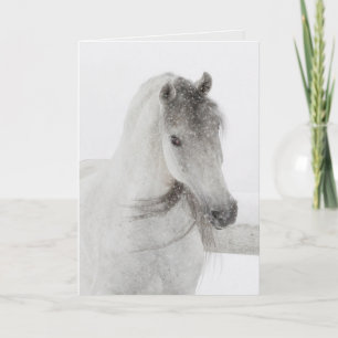 Carte de voeux Cheval - Mischievous Snowy Mare