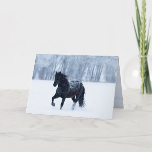 Carte de vœux Cheval noir dans la neige