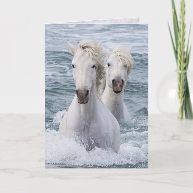 Carte de voeux Cheval - Sea Horse Twins (Devant)