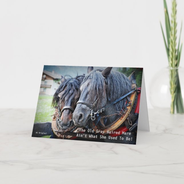 Carte de Vœux Cheval Vieil Ours Drôle (Devant)