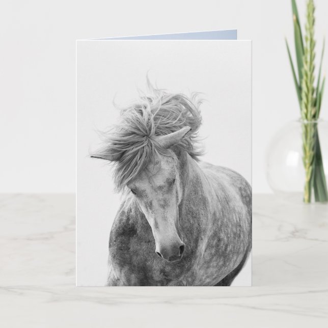 Carte de voeux Cheval - Young Camargue Stallion Ru (Devant)