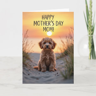 Carte de vœux Chien au Coucher de Soleil Doré