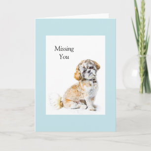 Carte de voeux Chien Chien Shih Tzu