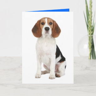 Carte de vœux Chien Chiot Beagle Bonjour Je pense
