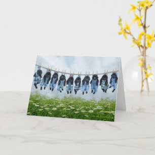 carte de voeux chien courage