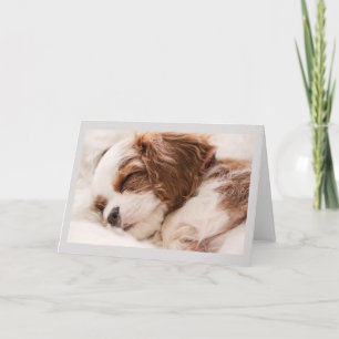 Carte de vœux - Chien endormi