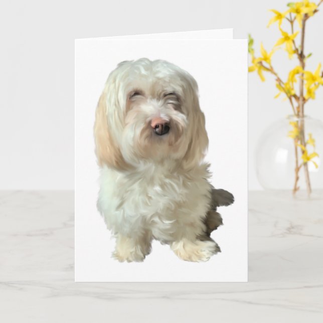 Carte de voeux Chien Havanais (Fleur jaune)