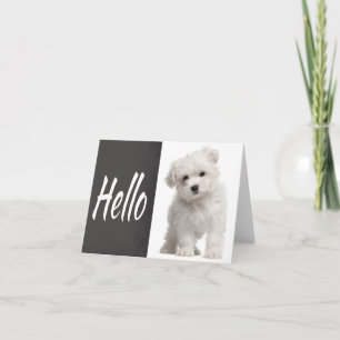 Carte de vœux Chien Maltais Blanc