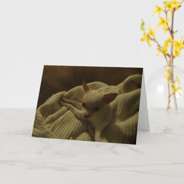 Carte de voeux Chihuahua Puppy (Fleur jaune)