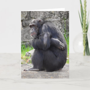 Carte de voeux Chimpanzé