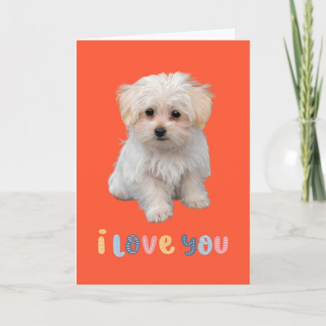 Carte de vœux chiot mignon, je t'aime, carte de vœ (Devant)