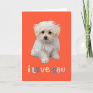 Carte de vœux chiot mignon, je t'aime, carte de vœ