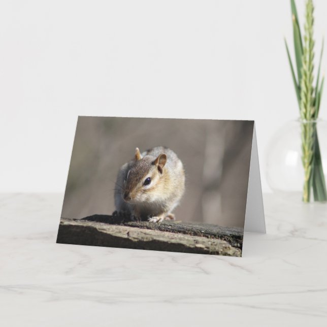 Carte de voeux Chipmunk (Devant)