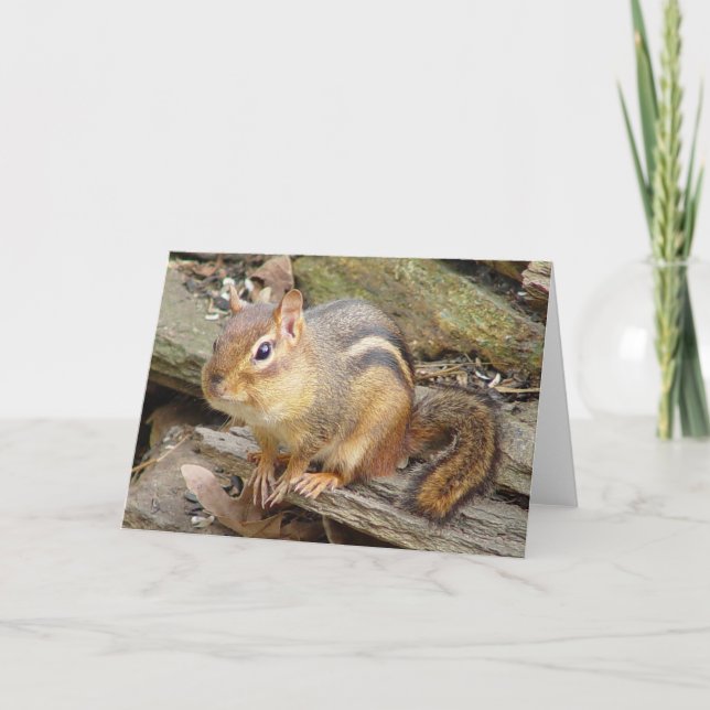 Carte de voeux Chipmunk 2 (Devant)