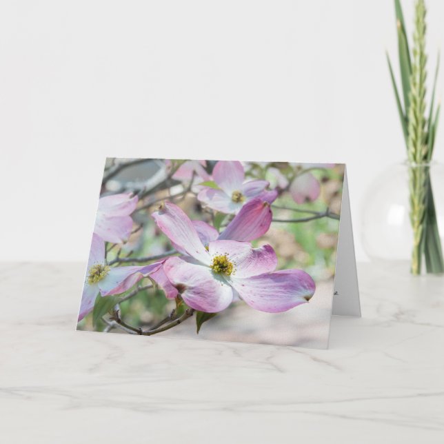 Carte de vœux chrétienne aux fleurs de Cornouiller (Devant)