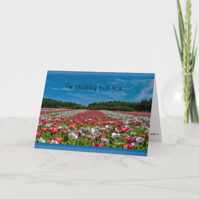 Carte de vœux chrétienne Champ de Coquelicots (Devant)