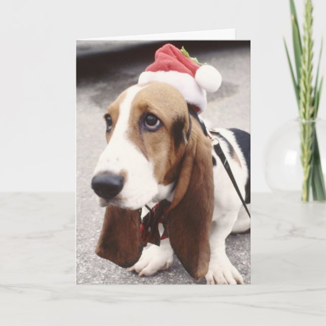Carte de voeux Christmas Basset Hound à Santa Hat (Devant)