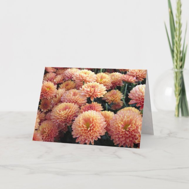 Carte de voeux Chrysanthemum (Devant)