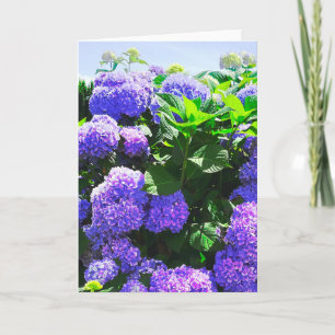 Carte de voeux classique violet réaliste Hydrangea