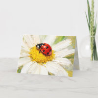 Carte de vœux "Coccinelle sur Marguerite"