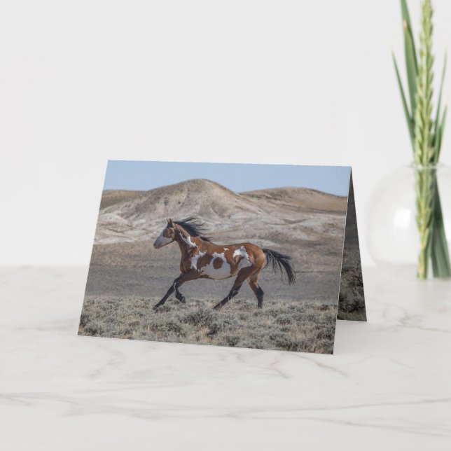 Carte de vœux Cochise en course (Devant)