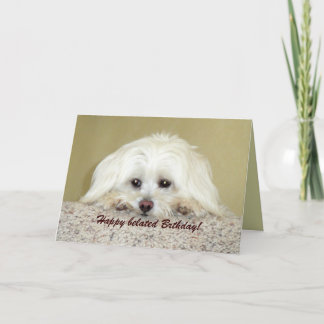 Carte de voeux 'Cody' Joyeux anniversaire tardif !