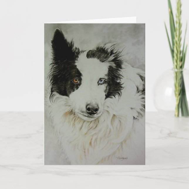 Carte de voeux Collie/Aussie (Devant)