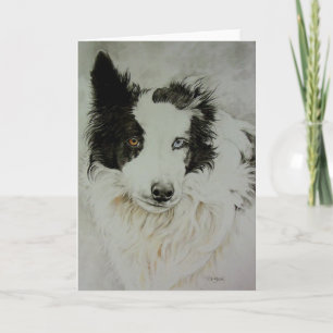 Carte de voeux Collie/Aussie