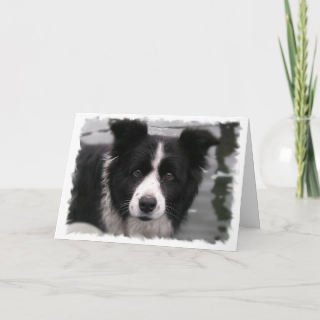 Carte de voeux Collie Bordure (Devant)