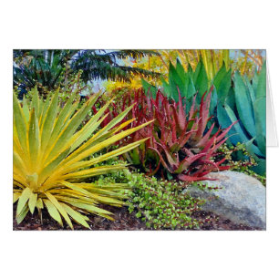 Carte de voeux Colorful Succulents