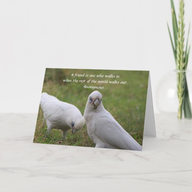 Carte de voeux Corella Friendship Quote (Devant)