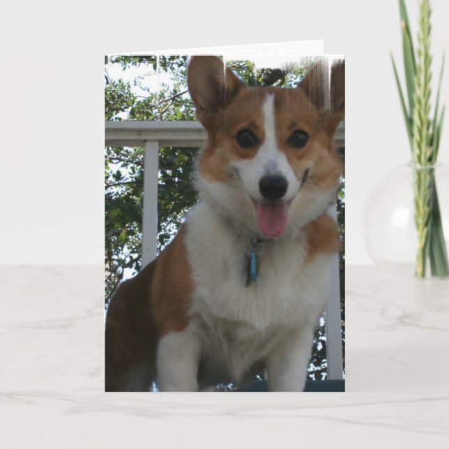 Carte de voeux Corgi Chien Chien Chien (Devant)