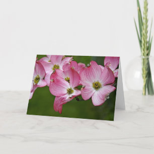 Carte de voeux :  Cornouiller rose