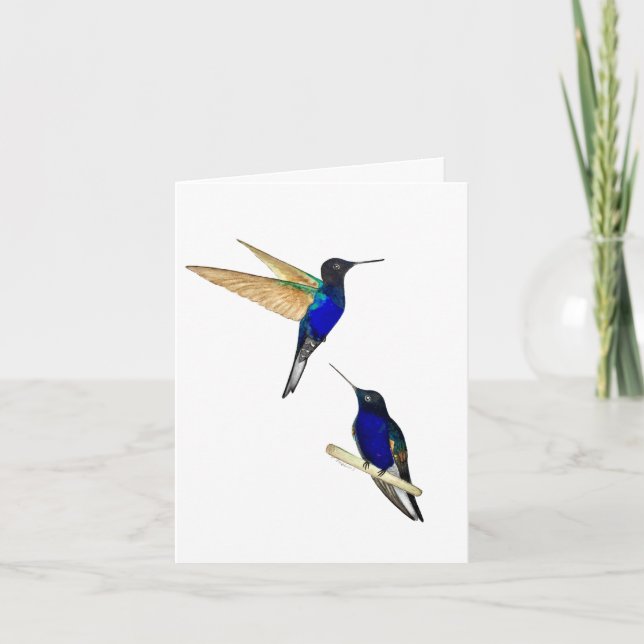 Carte de voeux Coronet Hummingbirds (Devant)