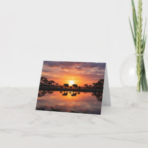 Carte de vœux Coucher de soleil Éléphant d'Afrique