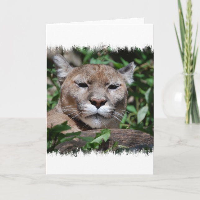 Carte de voeux Cougar Predator (Devant)