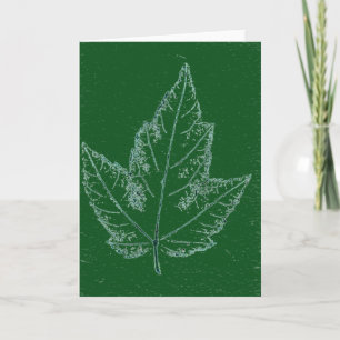 Carte de voeux Country "Spring Maple on Green"