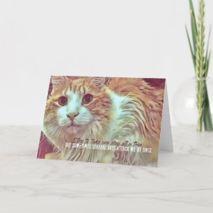 Carte de voeux CURIEUSE