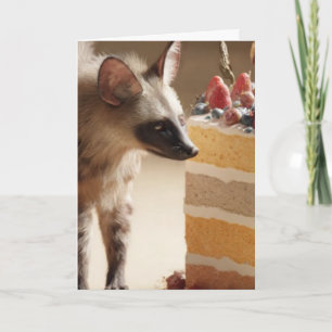 Carte de vœux curiosité Hyène & Gâteau