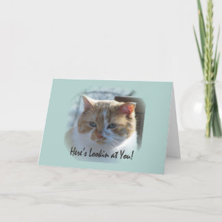 Carte de voeux Cute Cat Vignette