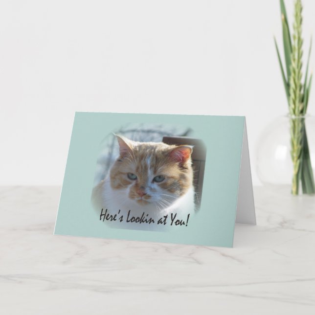 Carte de voeux Cute Cat Vignette (Devant)