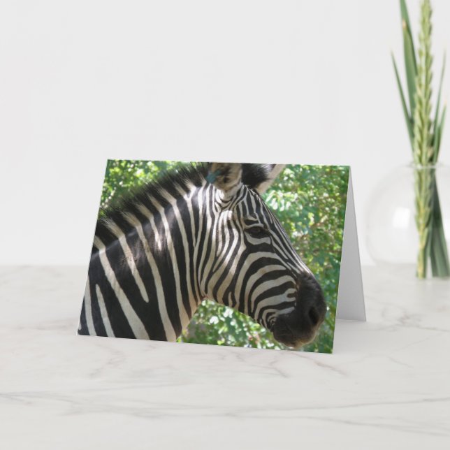 Carte de voeux Cute Zebra (Devant)