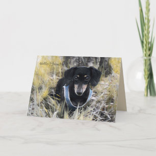 Carte de voeux Dachshund